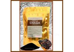 100% Wild Siberian Chaga Extract Powder - Worldwide Shipping