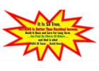 Let Us SEO Your Website For Free