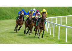 Horse Racing Trading Strategies That Actually Work on Betfair