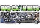 Tons of Ads for You!