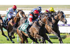 Expert Insights on the 8 Biggest Horse Races in the World