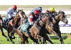 Expert Insights on the 8 Biggest Horse Races in the World