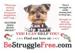Earn Daily with Your Online Biz!