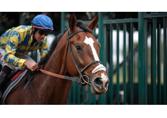 Exotic Bets Explained – Boost Your Betting Strategy