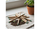 Seed Pens & Plantable Pencils – Sustainable Eco-Friendly Stationery