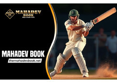 Mahadev Book ID: What It Is, How It's Searched Online & Important Things to Know