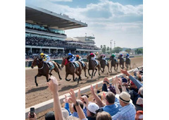 How to Watch Australia’s Biggest Race Live,